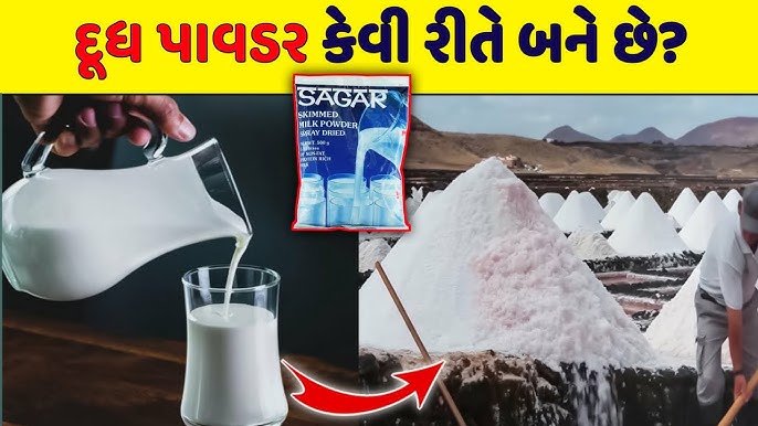 How Milk Powder is Made in Factory in gujrati