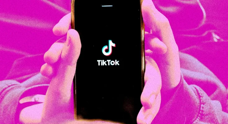 TikTok return to India Users can use the website