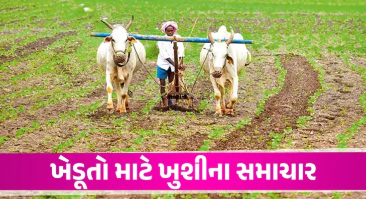 ખેડૂત માટે પાક સહાય પેકેજ ની જાહેરાત, પાક નુકસાની બદલ રૂ. 10 હજાર કરોડનું સહાય પેકેજ જાહેર