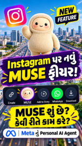 INSTAGRAM MUSE